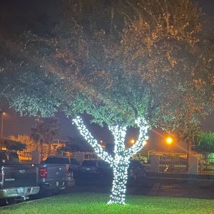 Meet your Posher, Manuel